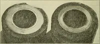 An illustration from The Locomotive (1867)