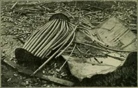 Picture 141 of 145 from The Locomotive (1867), leaf 473