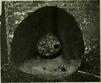 An illustration from The Locomotive (1867)
