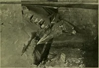 An illustration from The Locomotive (1867)
