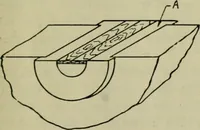 An illustration from The Locomotive (1867)