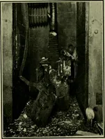An illustration from The Locomotive (1867)