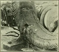 Picture 69 of 144 from The Locomotive (1867), leaf 213
