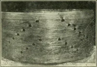 Picture 86 of 144 from The Locomotive (1867), leaf 309