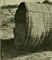 An illustration from The Locomotive (1867)