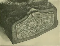 An illustration from The Locomotive (1867)