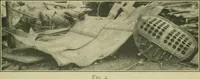 Picture 62 of 140 from The Locomotive (1867), leaf 214