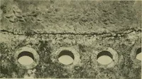 An illustration from The Locomotive (1867)