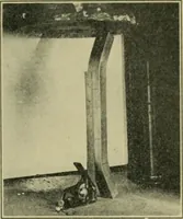 An illustration from The Locomotive (1867)