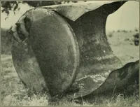 Picture 148 of 206 from The Locomotive (1867), leaf 383