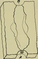 An illustration from The Locomotive (1867)