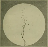 An illustration from The Locomotive (1867)