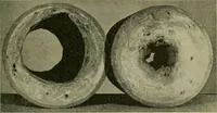 An illustration from The Locomotive (1867)