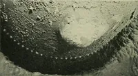An illustration from The Locomotive (1867)