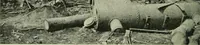 Picture 94 of 255 from The Locomotive (1867), leaf 217