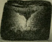 An illustration from The Locomotive (1867)