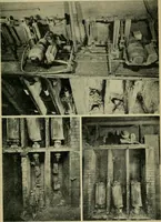 An illustration from The Locomotive (1867)