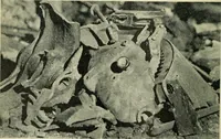 Picture 134 of 255 from The Locomotive (1867), leaf 303
