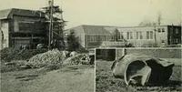 Picture 145 of 255 from The Locomotive (1867), leaf 333