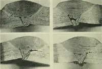 An illustration from The Locomotive (1867)
