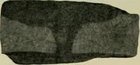 An illustration from The Locomotive (1867)