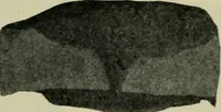 An illustration from The Locomotive (1867)