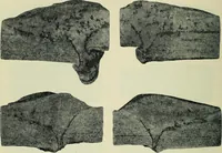 An illustration from The Locomotive (1867)
