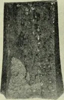 An illustration from The Locomotive (1867)