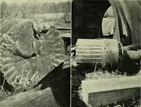 Picture 245 of 255 from The Locomotive (1867), leaf 513