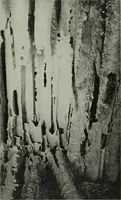 An illustration from The Locomotive (1867)