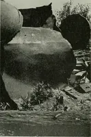 An illustration from The Locomotive (1867)