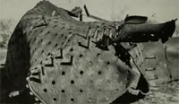 Picture 89 of 214 from The Locomotive (1867), leaf 219