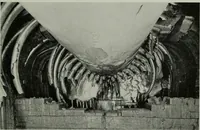 Picture 133 of 214 from The Locomotive (1867), leaf 336