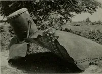 Picture 185 of 214 from The Locomotive (1867), leaf 453