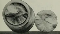 Picture 26 of 214 from The Locomotive (1867), leaf 62