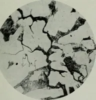 An illustration from The Locomotive (1867)