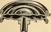 An illustration from Locomotive appliances (1901)