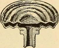 Picture 67 of 310 from Locomotive appliances (1901), leaf 112