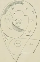 Picture 244 of 451 from The locomotive engineer (1888), leaf 502