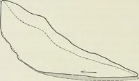 An illustration from Locomotive operation; a technical and practical analysis (1904)