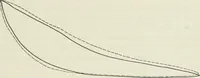 An illustration from Locomotive operation; a technical and practical analysis (1904)
