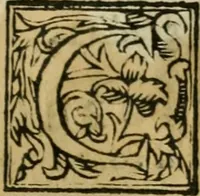 Picture 32 of 69 from Lodi al Signor Guido Reni : raccolte dall'Imperfetto Accad. Conf (1632), leaf 40