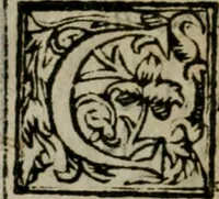 Picture 36 of 69 from Lodi al Signor Guido Reni : raccolte dall'Imperfetto Accad. Conf (1632), leaf 43