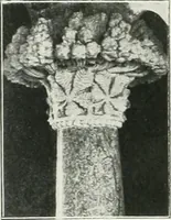 An illustration from L'oeuvre de Puig Cadafalch, architecte, 1896-1904 : architecture, décoration, mobilier, serrurerie, carrelages, &c, & (1904)