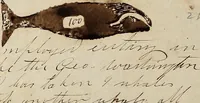Picture 4 of 5 from [Logbook of the Nassau (Ship : 1824-1865) of New Bedford, Mass., mastered by J.W. White, kept by H.C. Murdock on voyage 5 Aug. 1850-22 May 1853] (1850), leaf 111