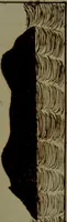 An illustration from [Logbook of the Saratoga (Ship) of New Bedford, Mass.; mastered by Frederick Slocum, kept by Washington Fosdick, on voyage from 3 Nov. 1856-1 June 1860] (1857)