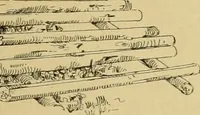 An illustration from Log cabins and cottages; how to build and furnish them (1908)