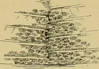 An illustration from Log cabins and cottages; how to build and furnish them (1908)