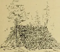 An illustration from Log cabins and cottages; how to build and furnish them (1908)