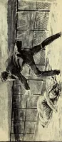 An illustration from The log of the "Flying Fish" : a story of aerial and submarine peril and adventure (1887)